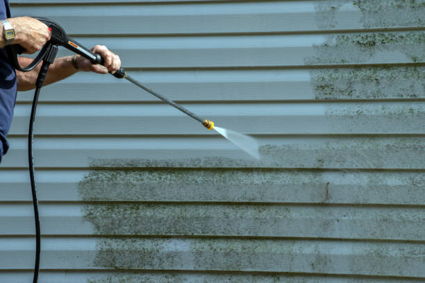 Best Exterior Home Cleaning  in Eldridge, IA