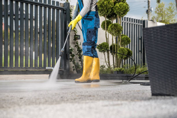 Best Fence Pressure Washing  in Eldridge, IA