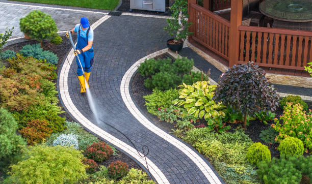 Best Sidewalk Pressure Washing  in Eldridge, IA
